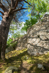 Castle walls on Inveruglas Isle.