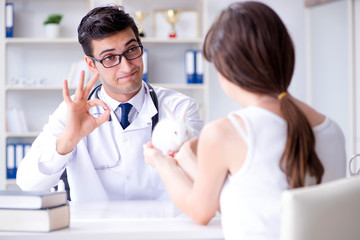 Obraz premium Vet doctor examining pet rabbit in clinic