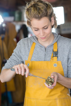 professional oster farmer opening a shell