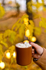 Winter drink: cocoa with marshmallow. Cozy winter morning, New Year's and Christmas holidays