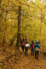Fototapeta premium walk in the autumn forest