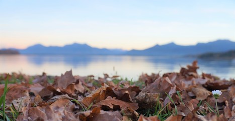 Der Herbst