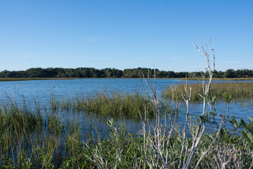 Saltwater marsh