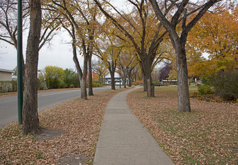 autumn colors on path