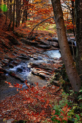 stones waterfall reflection forest