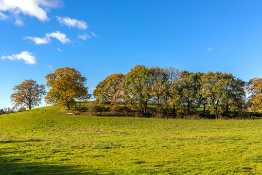 Autumn Colours