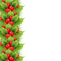 Christmas border from fir tree branches, ilex leaves and berries on white. Vector illustration for xmas and New Year design