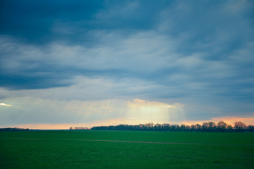 Rain clouds over a green field