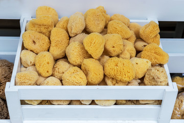 Yellow natural cleaning sponge in the store