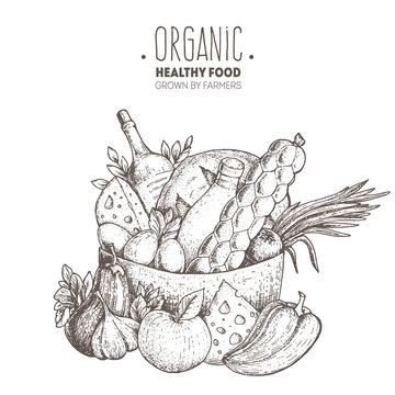 Food basket vector illustration. Farmers products. Farm market label. Organic healthy food logo. Hand drawn design for packaging. Engraved image.