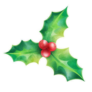 Christmas ornament, holly vector illustration isolated on white background for design elements