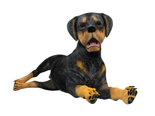 Fototapeta premium 犬