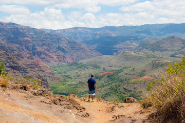 Obraz premium Man from behind in front of Waimea canyon on the island Kauai, Hawaii