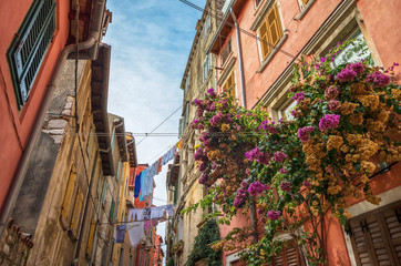 Romantic Rovinj street.Idyllic street with old houses in town of Rovinj, Istria, Croatia