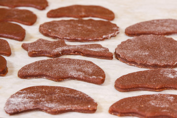 Dough for Christmas cookies or gingerbread