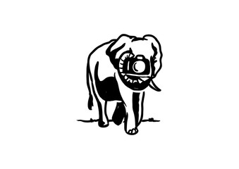 Walking Elephant Taking Picture