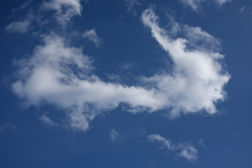 Naklejka na ściany i meble 青空と雲「空想・雲のモンスター（右側に顔のイメージなど）」（首が伸びる、興味を示す、驚かすなどのイメージ）