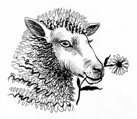 Ink drawing of a sheep eating a flower