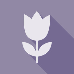 Hello Spring. Wreath of tulips and other flowers. Set flowers set for the holiday March 8.