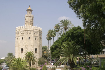 Fototapeta na wymiar Sevilla, ciudad historica de Andalucia,España
