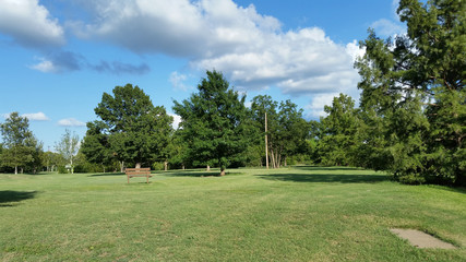 Open Area Park Bench