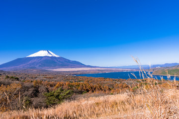 富士山の秋景色
