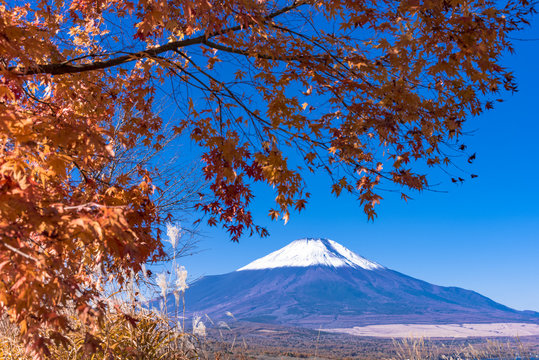 富士山の秋景色 Stock Photo Adobe Stock