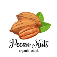 pecan nuts in cartoon style - obrazy, fototapety, plakaty