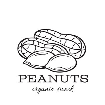 Peanut Drawing Images – Browse 28,756 Stock Photos, Vectors, and Video |  Adobe Stock