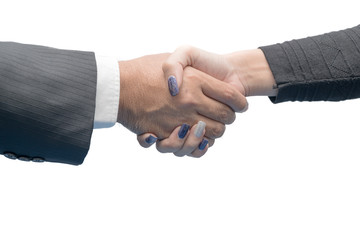 Hand shake between a businessman and a businesswoman