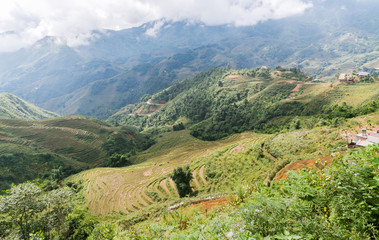 Fototapeta premium beautiful mountain with rice terraces and fog in morning