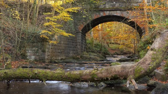 Beautiful autumnal forest scene. Old stone arch bridge and fallen tree trunk across mountain stream in autumn