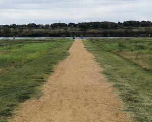 Road leading to water in a field