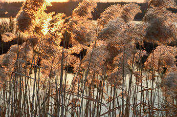 Закат на озере Yaoquan в национальном геоарке в Удалянчи...