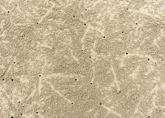 Sandy beach background with crab traces. Detailed sand texture. Top view