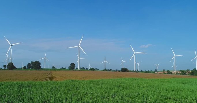 4K Aerial view of Wind turbines farm in the green field,  One of the cleanest, renewable electric energy source.Future sustainable power.Blue sky with corn field location,THAILAND