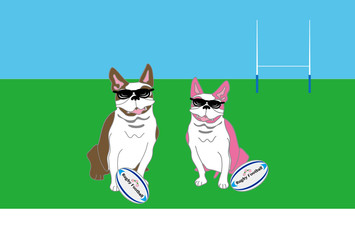 ラグビーボールとサングラスのポップな犬のイラストのポストカード