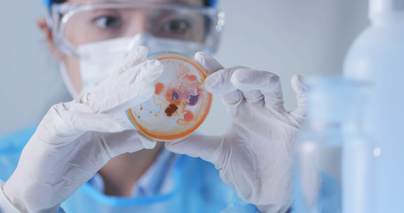 Scientist observation about petri dish in lab