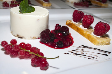 Panna  Cotta mit Früchten