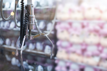 Claw game,A mechanical arm selecting a random soft toy in a vending machine. Selective focus at mechanical arm