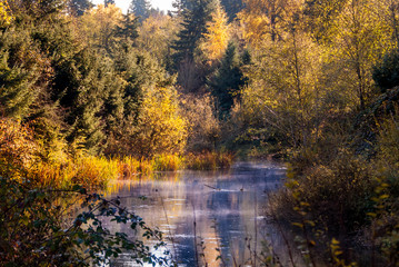 Fototapeta premium River with Fog rising on a Fall Morning