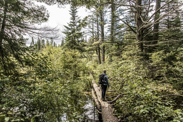 Fototapeta premium Girl hiking in Canada Ontario Lake of two rivers natural wild landscape near the water in Algonquin National Park