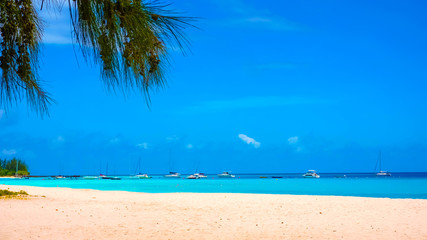 The tropical beach, Barbados, Caribbean