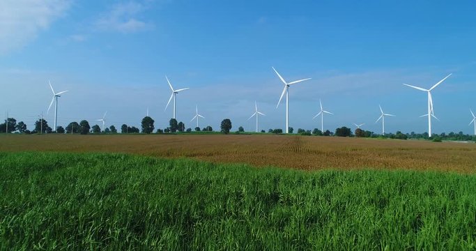 4K Aerial view of Wind turbines farm in the green field,  One of the cleanest, renewable electric energy source.Future sustainable power.Blue sky with corn field location,THAILAND