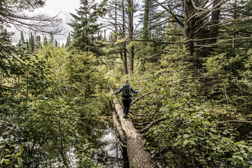 Girl hiking in Canada Ontario Lake of two rivers natural wild landscape near the water in Algonquin National Park