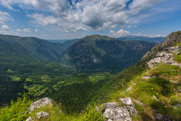 Fototapeta na wymiar Mountains and canyon in Durmitor, Montenegro
