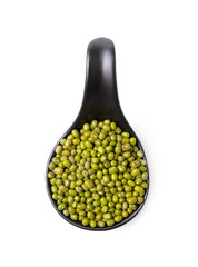 mung beans in spoon on white background