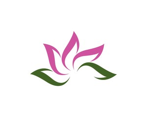  Lotus flowers design logo Template icon