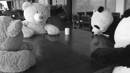 REUNIÓN DE OSOS DE PELUCHE