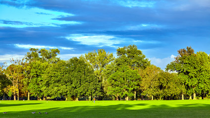 City park. Panorama of a beautiful park